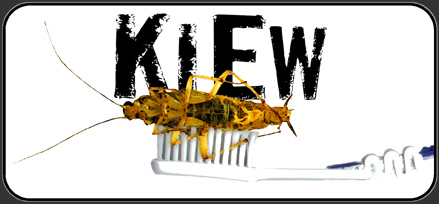 enter the world of kiew