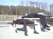 P3220190thiemi_hauke
